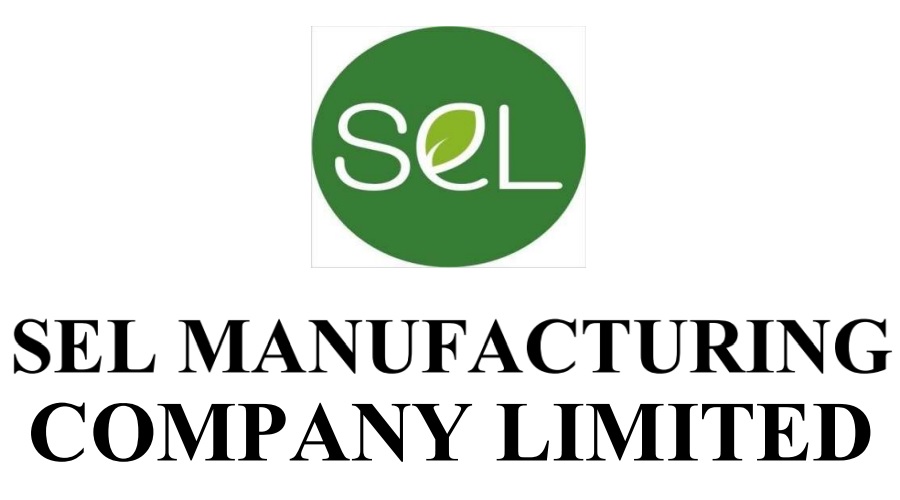 SEL Manufacturing Company Ltd Q1FY25 loss at Rs. 31.59 crores